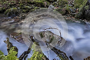 Water stream with icicles in forest, Little Fatra, Slovakia