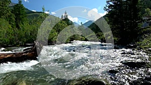 Water stream, mountain river in Altai, Russia.