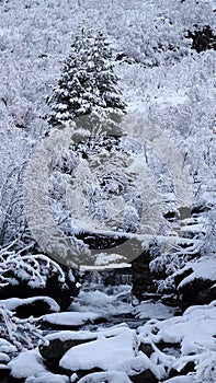 Water stream in mountain valley on Trollstigen road in snow in Norway in autumn