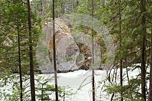 Water stream at Nairn Provincial Park. Pemberton British Columbia.Canada photo