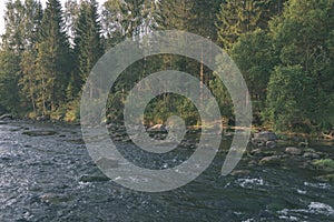 water stream in river of Amata in Latvia with sandstone cliffs, green foliage - vintage retro film look