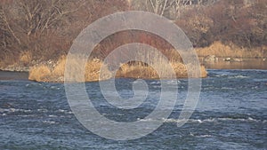 Water Stream At The River Riffle