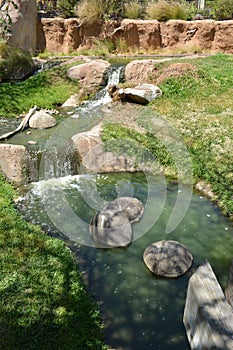 Water stream in San Diego Wildlife park