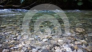 Water stream with small waterfalls in the river. Slovakia