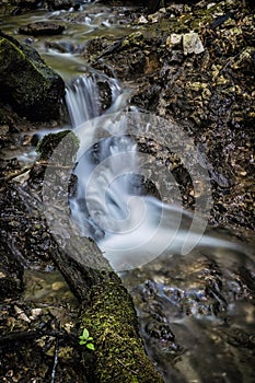 Water stream, Snake valley, Kremnica hills, Slovakia