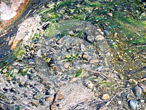 Water stream in spring creek with pebbles in april