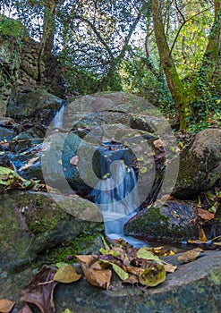 Water stream and stones in autumnal forest