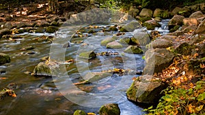 Water stream with stones in the forest