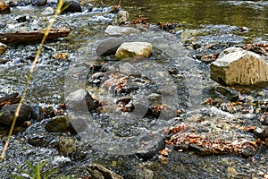 Agua de actual entre piedras 