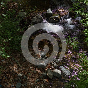 Water Stream in Tris Elies, Troodos mountains forest photo