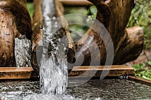 water stream in wood