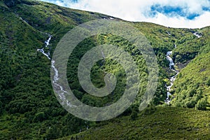 Water streams flowing down a green mountainside