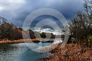 Water streams, rocks, trees and beatiful sky