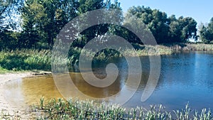 Water, summer, near, lake, clouds, sky, trees, forest, evening, day, weather, rest, swim