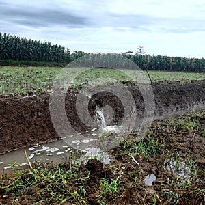 water suply for rice plant