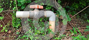 Water Supply Pipeline for Irrigation. Storing, line.