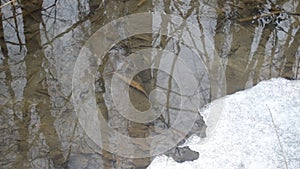 Water surface in brook with melting ice in spring