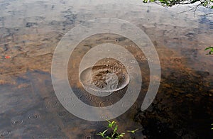 Water Surface Circles