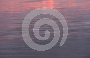 Water surface of gradient blue and pink color. River or sea water smooth background with small waves and sun glares