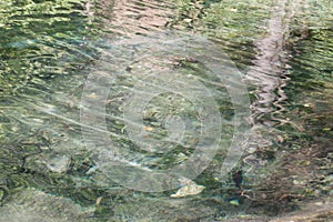 Water surface of the lake on a summer day