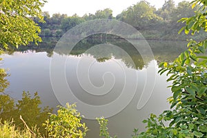 The water surface of the lake between the trees