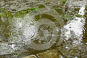 Water surface with rain texture - circles and bubbles texture