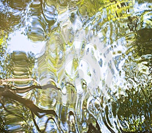 Water surface with reflection of the green trees