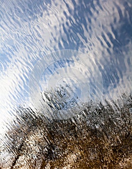 Water surface with the reflection of the leafless trees