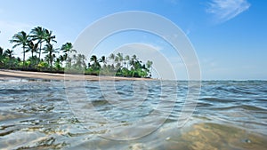 Water surface with ripples formed by wind