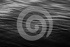 Black and White Rippled Water