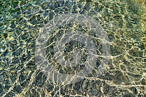 Water surface of the river