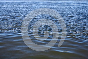 Water surface of river with ripples, abstract background