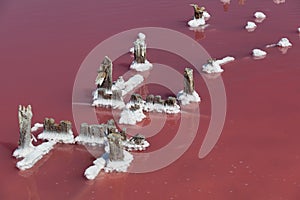 Water Surface of salty pink lake with unique Dunaliella salina algae. Old wooden supports of bridge