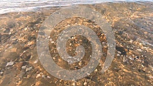 Water surface sea, transparent water waves ripples sand bottom stones and shells