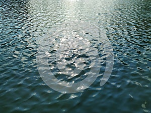 Water surface with small waves. The sunlight gives a gleam in the middle. The color of the pond is dark, slightly bluish