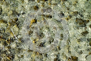 Water surface