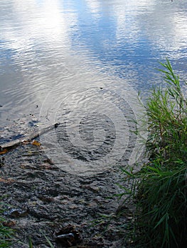 The water surface of the stream reflects the blue sky