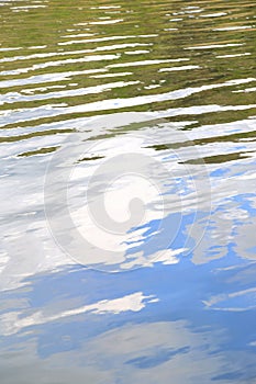 Water surface texture with ripples and vegetation