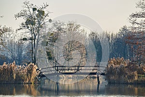 Water surface with trees and bridge in the park