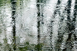 Water surface with trees reflection