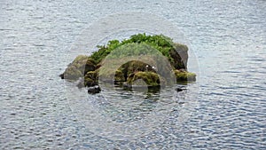 Water surfaces with waves and ripples and the sunlight reflecting at the surface