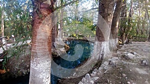 Water surrounded by trees in the Media Luna lagoon in RÃÂ­o Verde in the state of San Luis PotosÃÂ­ Mexic photo