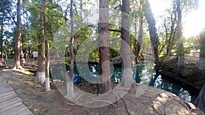 Water surrounded by trees in the Media Luna lagoon in RÃÂ­o Verde in the state of San Luis PotosÃÂ­ Mexic photo