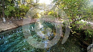 Water surrounded by trees in the Media Luna lagoon in RÃÂ­o Verde in the state of San Luis PotosÃÂ­ Mexic photo