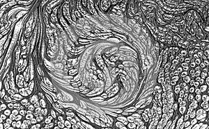 Water with Swirly Patterns. Pond, pattern.