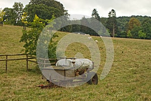 Water tank in grass field with sheep