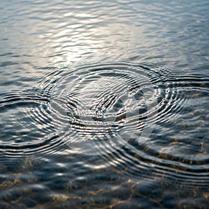 Water texture reflects light highlighting the intricate patterns formed by