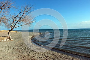 Water theme, The shores of the Issyk Kul lake