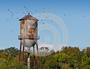 Water Tower