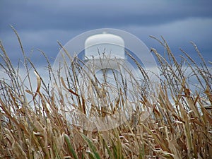 Water Tower in the Midwest photo